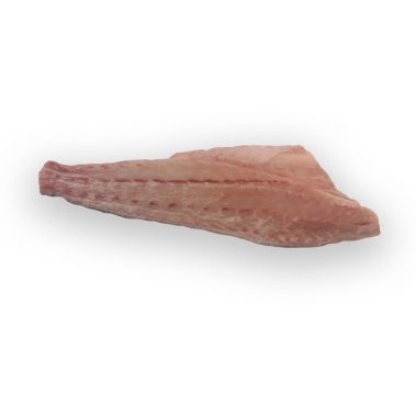 Corvina (Meagre), fillet, skin on, 500-1000g, chilled, PPAC