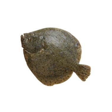 Turbotas (Turbot), skrost., 1-2kg, atšild., PPAC