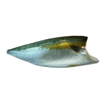 Lakedra dzeltenastes (Yellowtail Amberjack), fileja, a/ā, ASC, 1.0-1.5kg, atk., PPAC