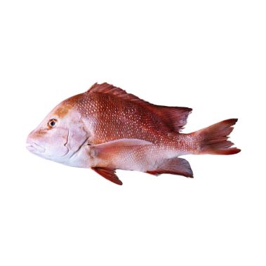 Снеппер красный (Emperor Red Snapper), потрош., 2-4кг, охл., 1*10кг