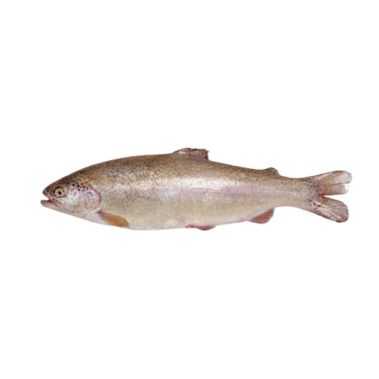 Forele Varavīksnes, ķid., a/g, 260-280g, sald., 1*5kg (t.s. 4.5kg)