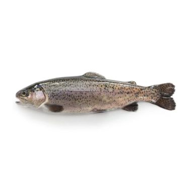 Forele Varavīksnes, ķid., a/g, 250-400g, sald., 1*5kg (t.s. 4.5kg)