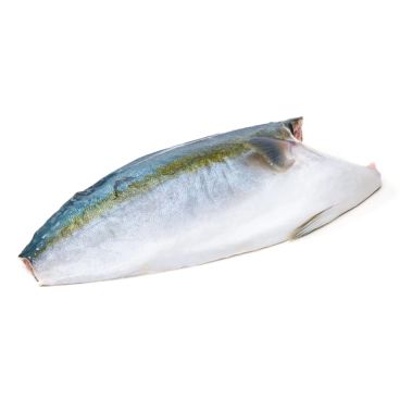 Hamachi fillet (Yellowtail), skin on, 1.5+kg, frozen, IQF, IVP, 1*~10kg (n.w. 10kg)