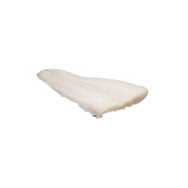 Patagonijas Ilkņzivs (Seabass Chilian), fileja, a/ā, 2-3kg, sald., IQF, IWP, 1*~22kg