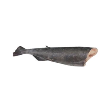 Sablefish, gutted, head off, MSC, 2-3.5+kg, frozen, IQF, 1*~22kg (n.w. 20.9kg)