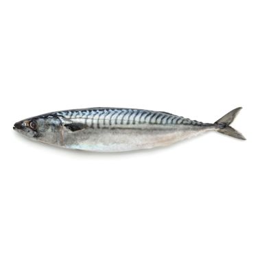 Makrele Atlantijas, vesela, 450-600g, sald., IQF, 1*18kg (t.s. 18kg)