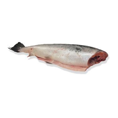 Salmon Atlantic, gutted, head off, ~4-7kg, chilled