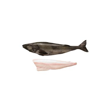 Sablefish, gutted, head off, 2-3.5+kg, frozen., IQF, PPAC