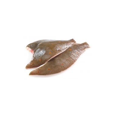 Plaice, gutted, 600-800g, chilled