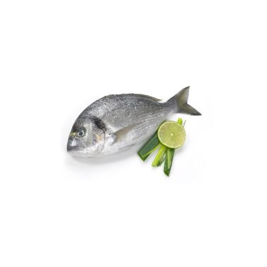 Seabream, not gutted, 600-800g, chilled, 1*6kg, Greece