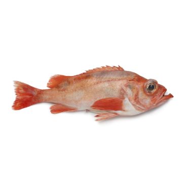 Морской окунь (Red Fish), непотрош., 0.7-1.5кг, охл., 1*20кг