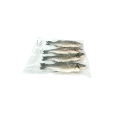 Farmed seabass, gutted, 200-300g, frozen, ~1.2-2kg, PPAC