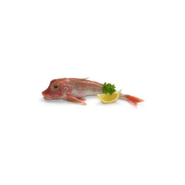 Merikukk (Red Gurnard), rookimata, 300-500g, jahut. (Aspitrigla cuculus)