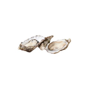 Oysters Creuses FINE OF IRELAND 3 (60-80g), 24pcs, Ireland