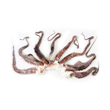 Squid tentacle, defrosted, 1*5kg