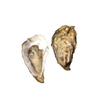 Oysters Creuses SP GRANDEUR 3 (60-100g), 24pcs, Netherlands