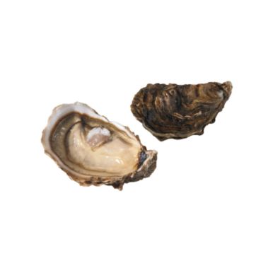 Oysters Creuses SP PRESTIGE 3 (60-80g), 12gab, Portugal