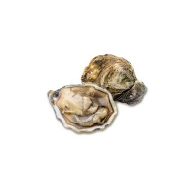 Oysters SP LA FLEUR POUR CARINA 2 ( 80-100g), 24 pcs, Ireland