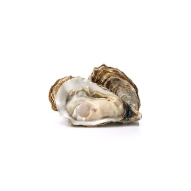 Austeres Plates 3/0 (40-60g), 6gab.ar nazi,  Nīderlande