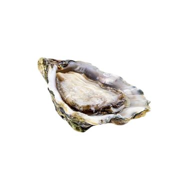 Austrės Creuses SP GILLARDEAU 1 (145-185g), 12vnt., Prancūzija