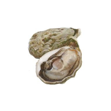 Austrės Creuses SP JOSEPHINE 3 (60-80g), 24vnt., Prancūzija