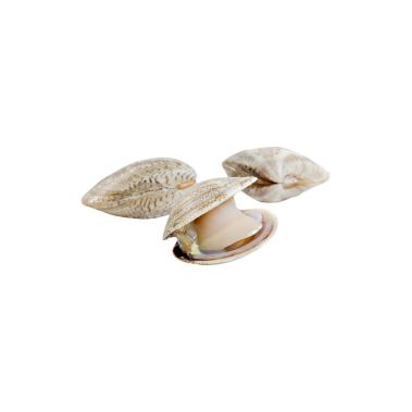 Shellfish Lupini, 1kg