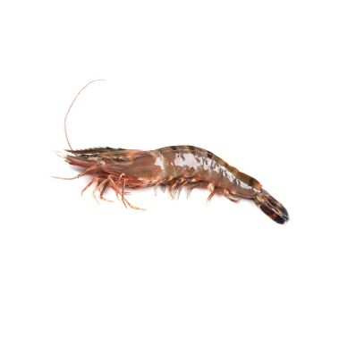 Garneles veselas, 8/12, Black Tiger, sald., 10*1kg (t.s. 750g), (P.Monodon), RSeafood