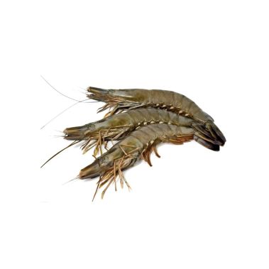 Garneles veselas, 16/20, Black Tiger, sald., 10*1kg (t.s. 750g), (P.Monodon)