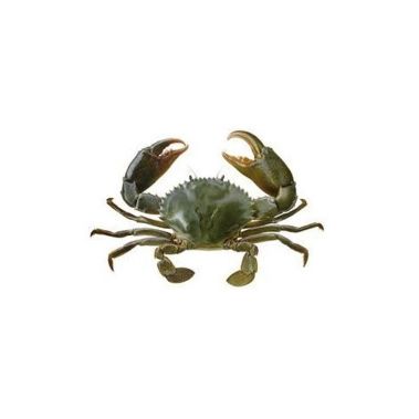 Crab Soft Shell, 50-65g, frozen, 10*1kg (n.w. 950g)