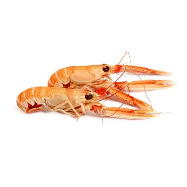 Langoustine, 17/20, frozen, 6*1kg (n.w. 750g)