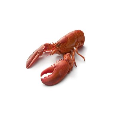 Lobster Canadian, cooked, 450-500g, frozen, IQF, 1*5kg (n.w 4.54kg)