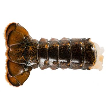 Omāru Kanādas (Canadian lobster) astes, HPP, MSC, 113-142g, sald., 1*5.16kg (t.s. 4.54kg)