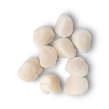Sea scallop, meat, 20/30, frozen, IQF, 10*1kg (n.w. 800g), Peru