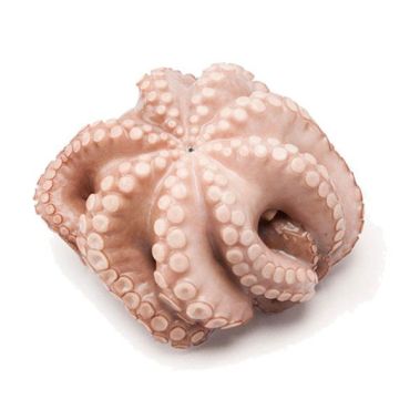 Octopus, 1.3-1,7kg, flower, frozen, vac, 4-5gab*~1.3-1,7kg