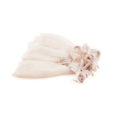 Squids Patagonian, cleaned, 10-12cm, frozen, 8*1kg (n.w. 800g)