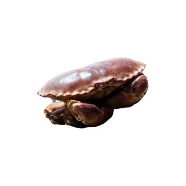 Краб коричневый (Edible Crabs), живой, 800-1000г, Франция