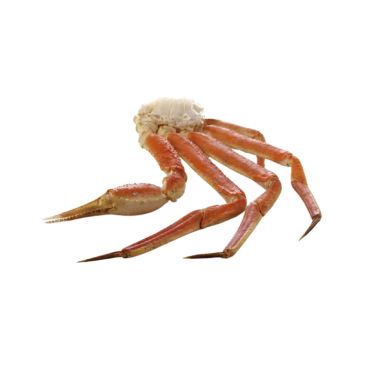 Snow Crab sections, cooked, 226-283g, frozen, 1*4.99kg (n.w. 4.54kg), Royal Greenland