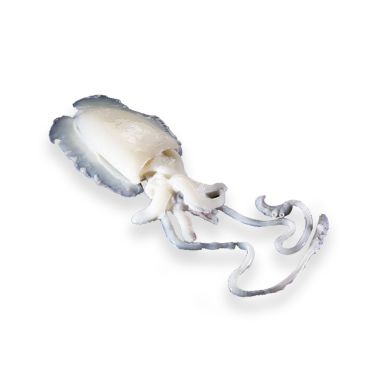 Cuttlefish fresh, 50-80г, chilled, 1*4кг