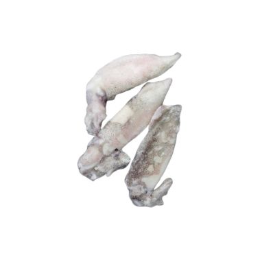 Squids Patagonian, 10-12cm, frozen, IQF, 8*~900g (n.w. 800g)