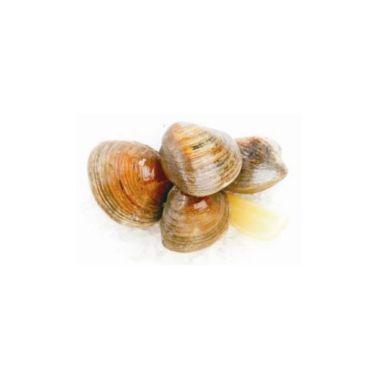 Karbid (Clams), M, jahut., 1*3kg, Prantsusmaa