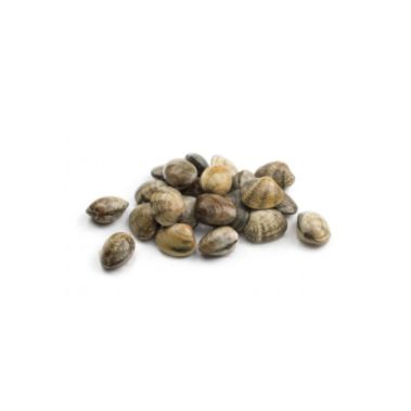 Mussels Palourdes (Carpet shells), M, chilled, 1*3kg