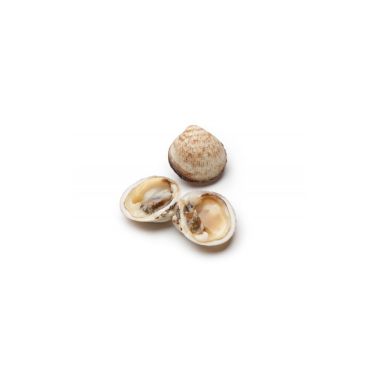 Gliemenes Amandes (Dog cocle), atvēs., 1*3kg, Francija