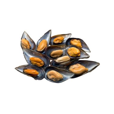 Mussels Spanish 30/40 in tray, 1kg