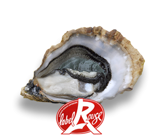 Oysters FINE DE CLAIRE VERTE LABEL ROUGE 2 (80-100g), 24 pcs, Francija