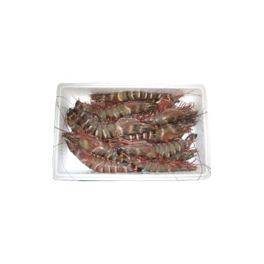 Prawns whole, 10/20, Black Tiger, defrosted, 1*2kg (P.Monodon), South America