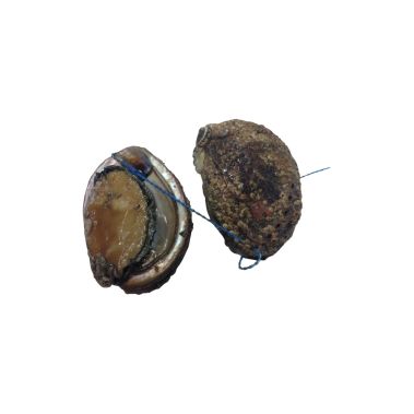 Мидии Abalone (Abalone), охл., 1кг, Франция