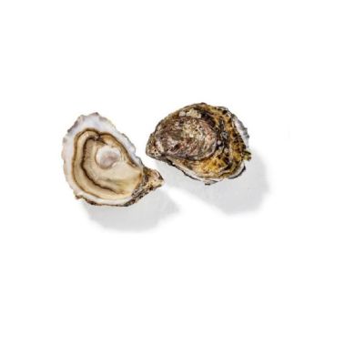 Austeres Creuses SP PERLE BLANCHE 2 (80g), 24gab, Francija