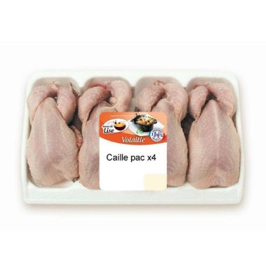 Quail, gutted, head off, chilled, packed, 6*~800g (4*~180-220g), France