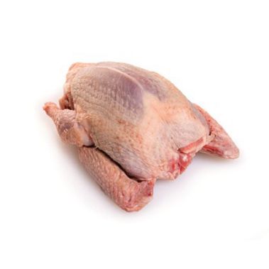 Pigeon, whole, gutted, head off, chilled, 10*~350-450g