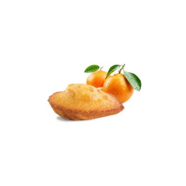 Cakes Madeleines with citrus fruit, frozen, 140*18g, St Michel